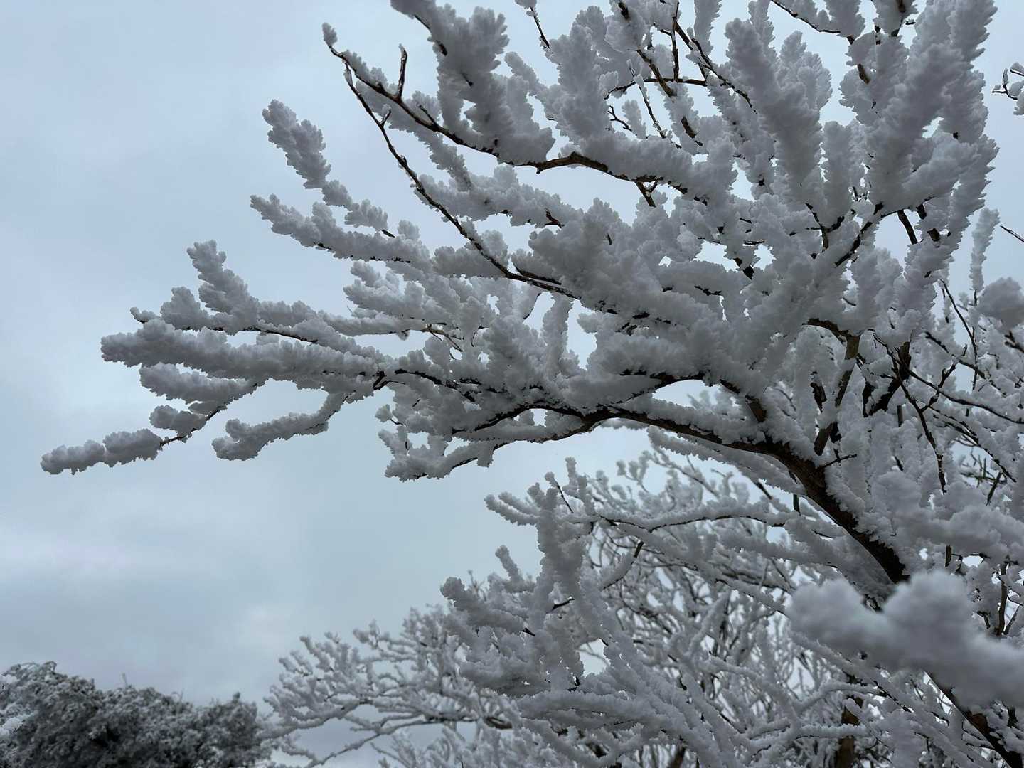 ❄️
