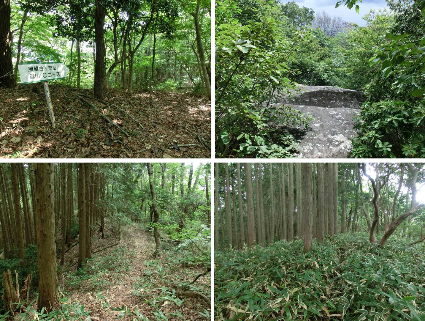 尾根を南東に向けて進み、国引岩でメタボチェックをクリアして幾つかの小ピークを越えて行くと