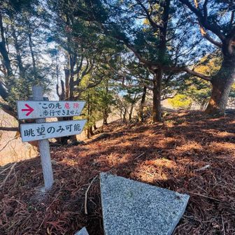 コースを離れますがこんな看板が🪧