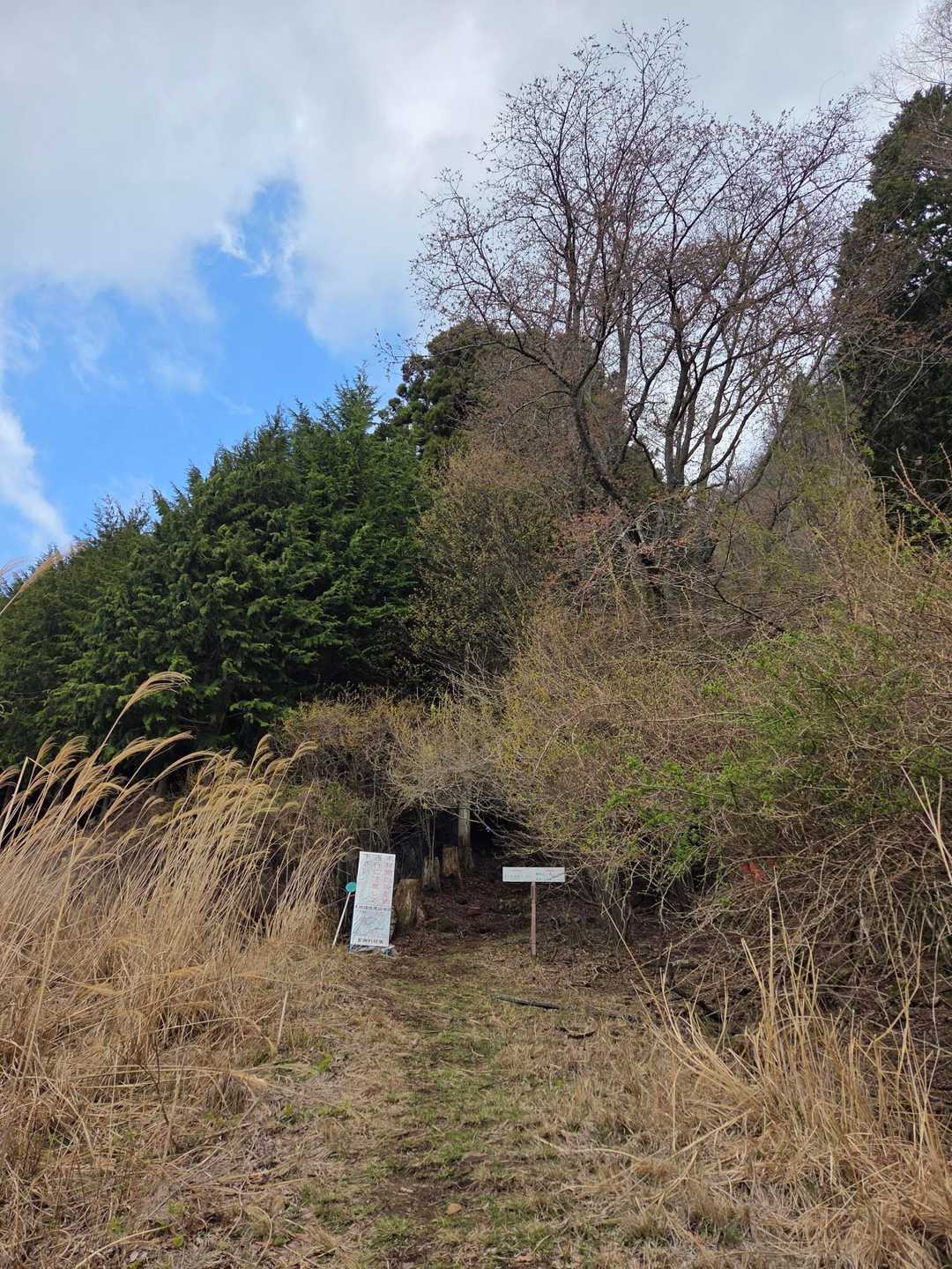 登り口
以前来た時はものすごい雑草とでこの登山口見つけられずうろうろして登らず帰ったこともありました。今はとても分かりやすいです。