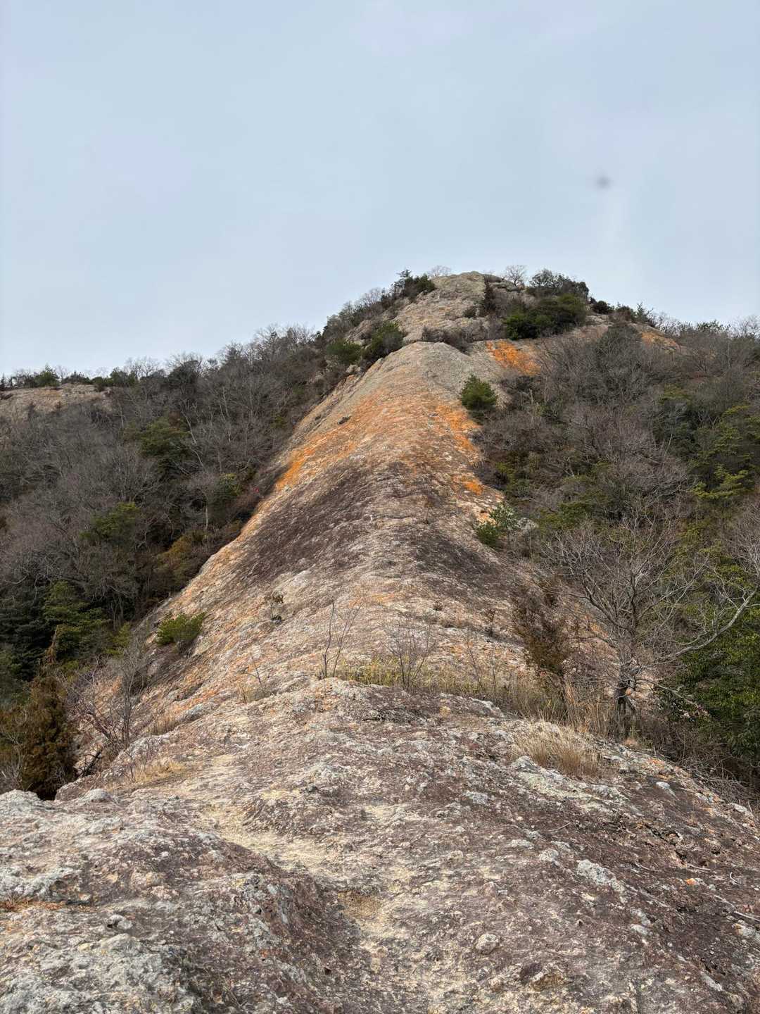 惣山-安場山-日光峠-高山 縦走コースの写真