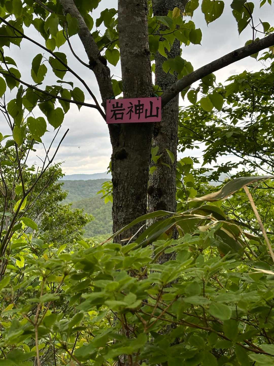 岩神山に着きました

プレートがめんこい