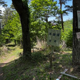 迷わず左の近道を