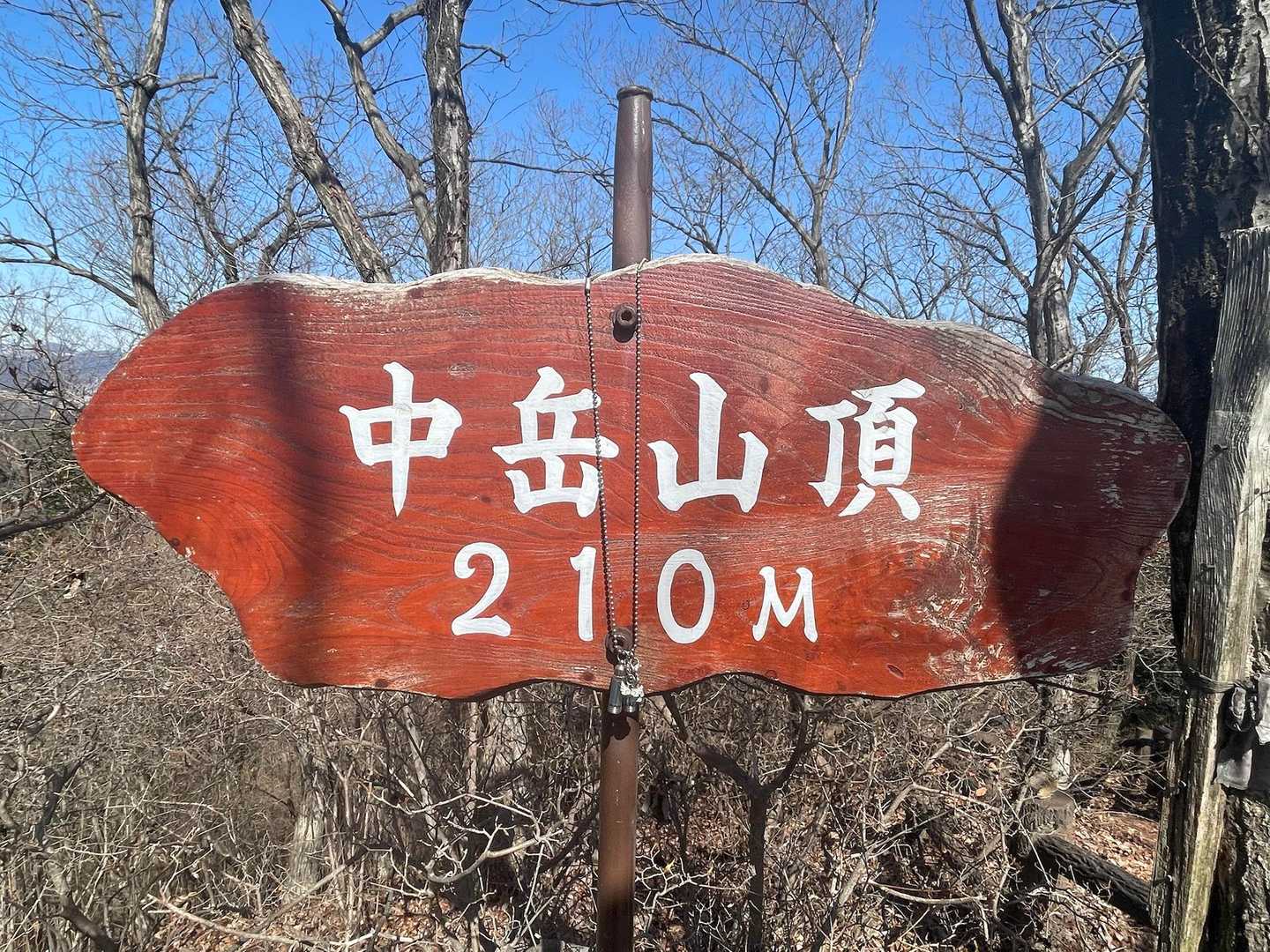 一緒に登頂🐶🐶