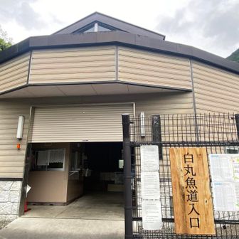 魚道の入口