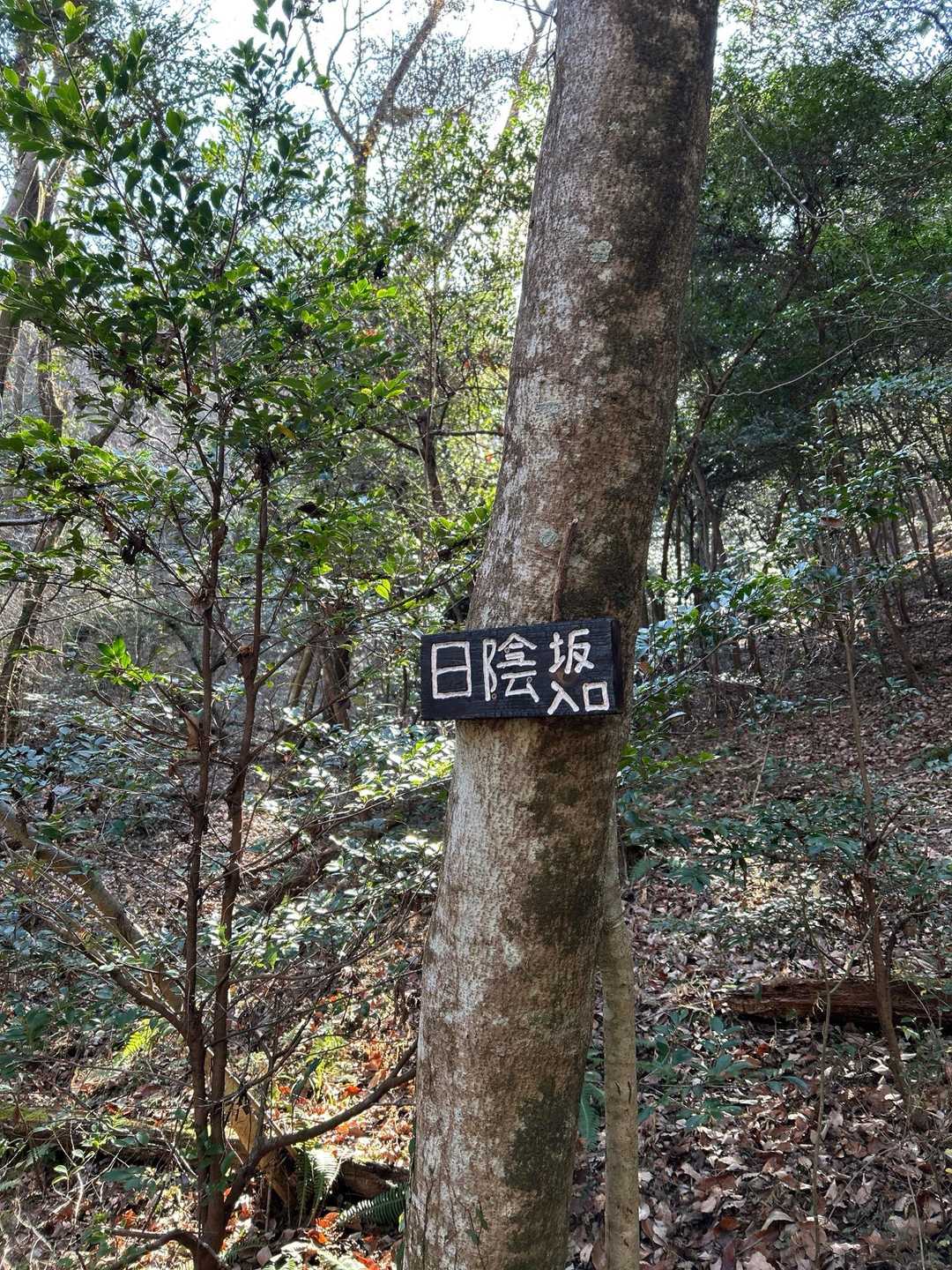 登山口迄降りてきました