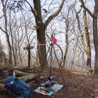 風が出てきました