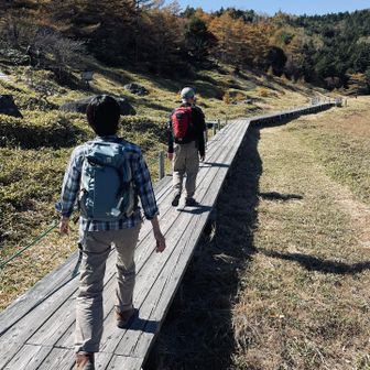 湿原の中の木道その3
