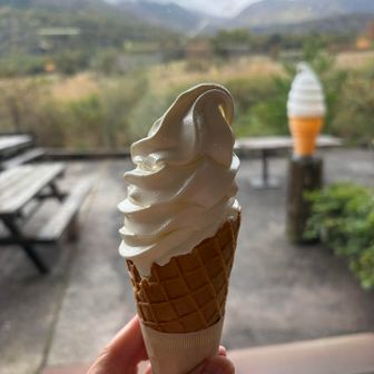 ソフトクリーム400円　濃くておいしかった
