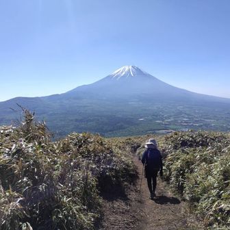 だーう