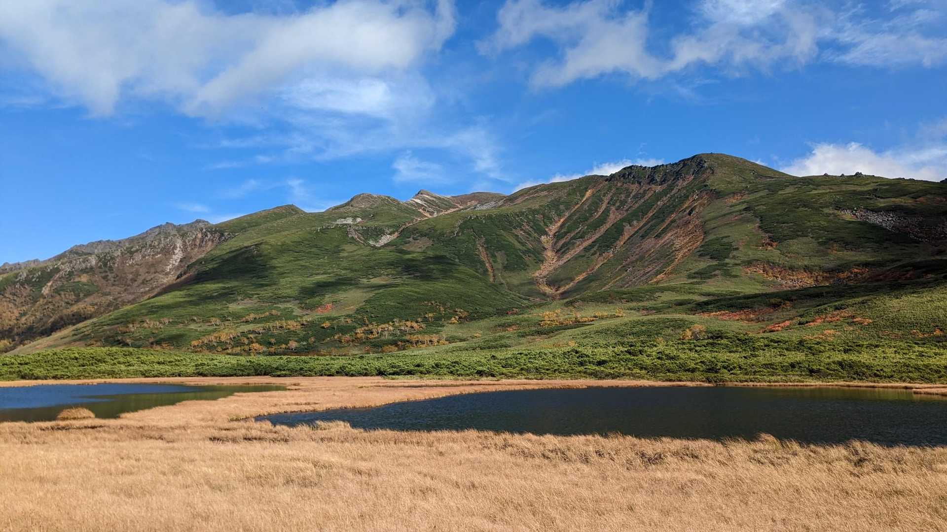 愛山渓登山口-松仙園登山口-松仙園-沼ノ平-1591ピーク 周回コースの写真