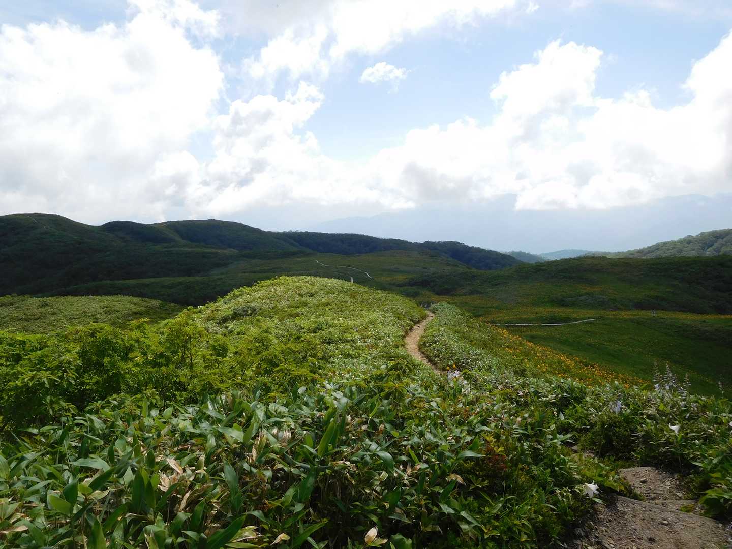 小白木峰-白木峰-浮島の池 往復コースの写真