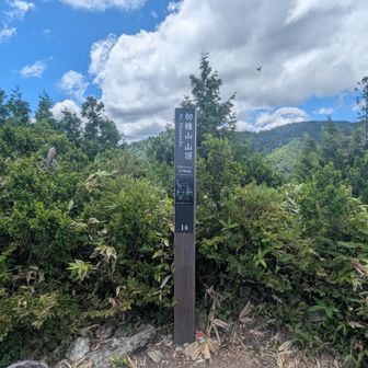 山頂着！山頂付近から一気に視界が広がり気持ちが良い。楽しい。
