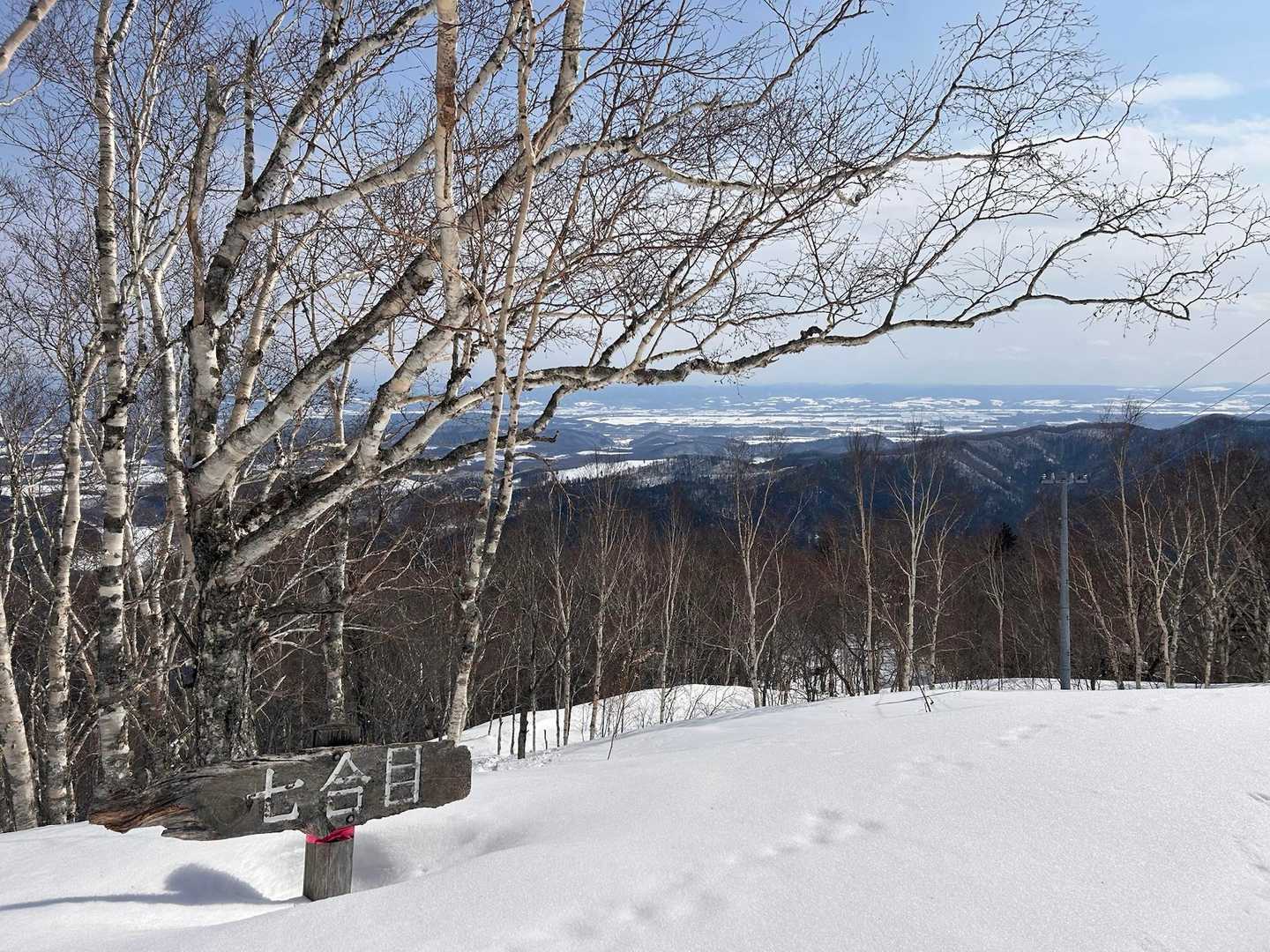 仁頃山 往復コースの写真