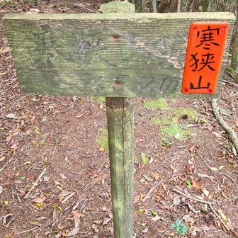 小休止して下山。
涼しくて汗も控え目。