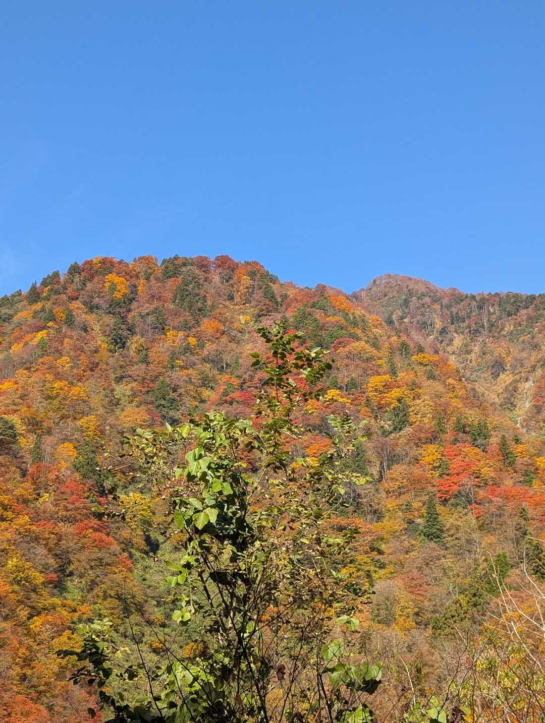 中山登山口-中山-剱岳早月尾根登山口 縦走コースの写真