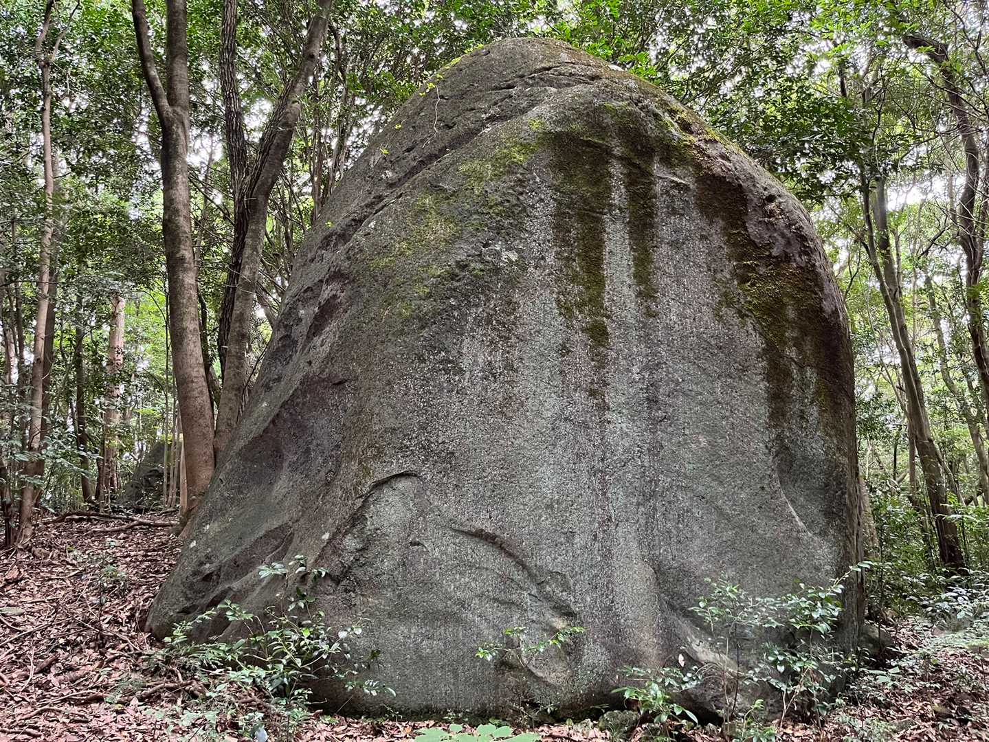 夫婦岩🪨の女