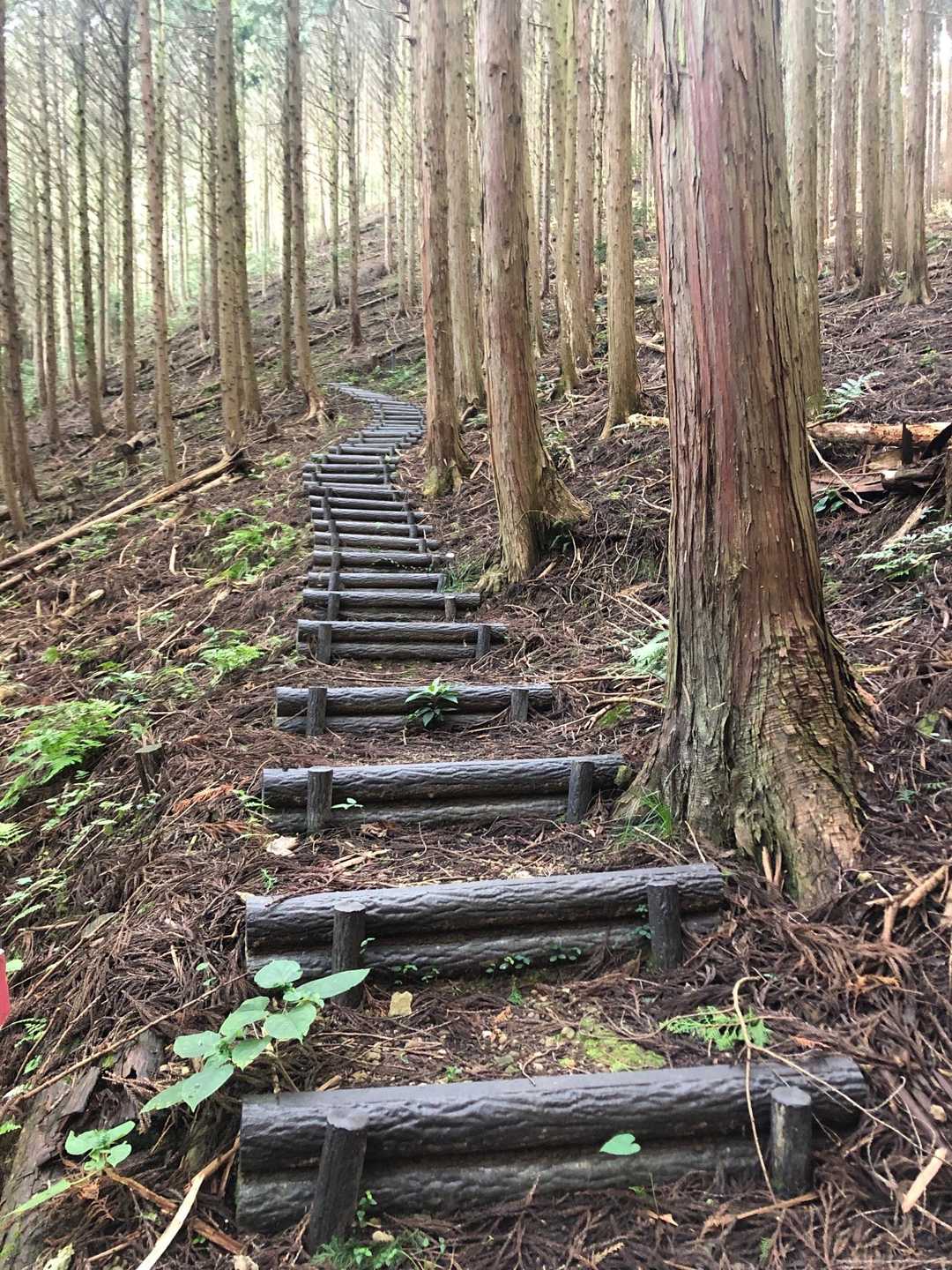 まだまだ階段