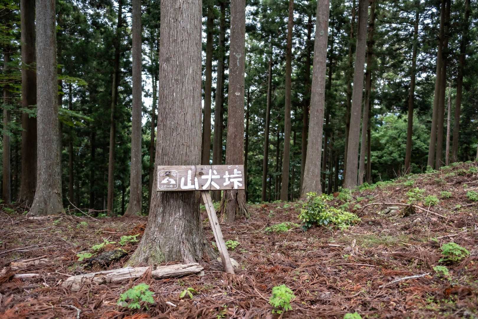 苔はなさそうです(oᵔ罒ᵔo)