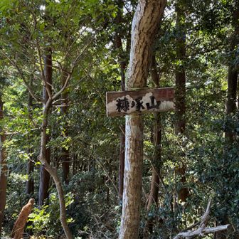 急峻な道を越えて3座目、糠塚山