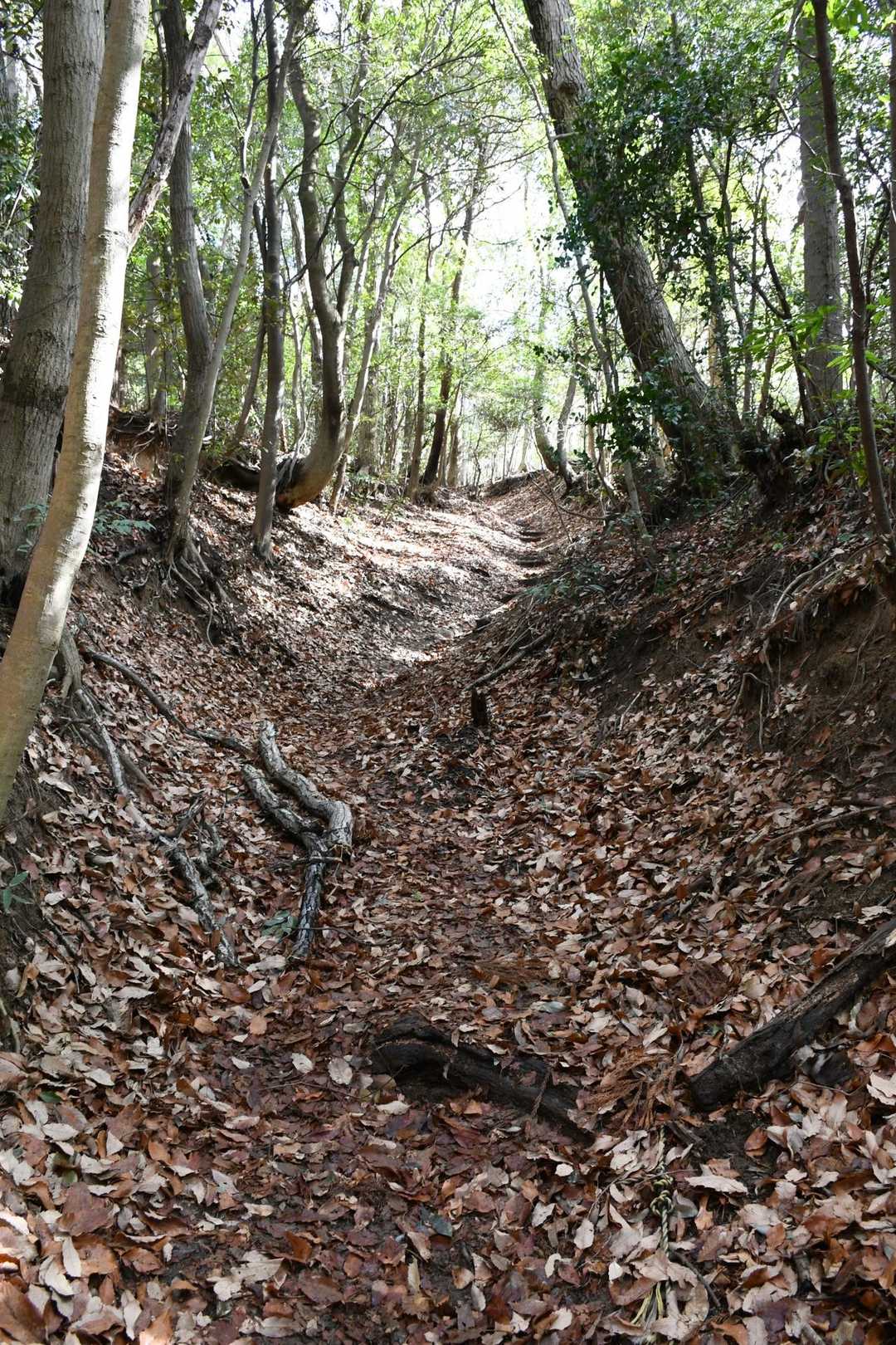 やっと登山道に来ました😊帰り滑りそう〜