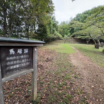 想像以上に広い
まさに天然の城