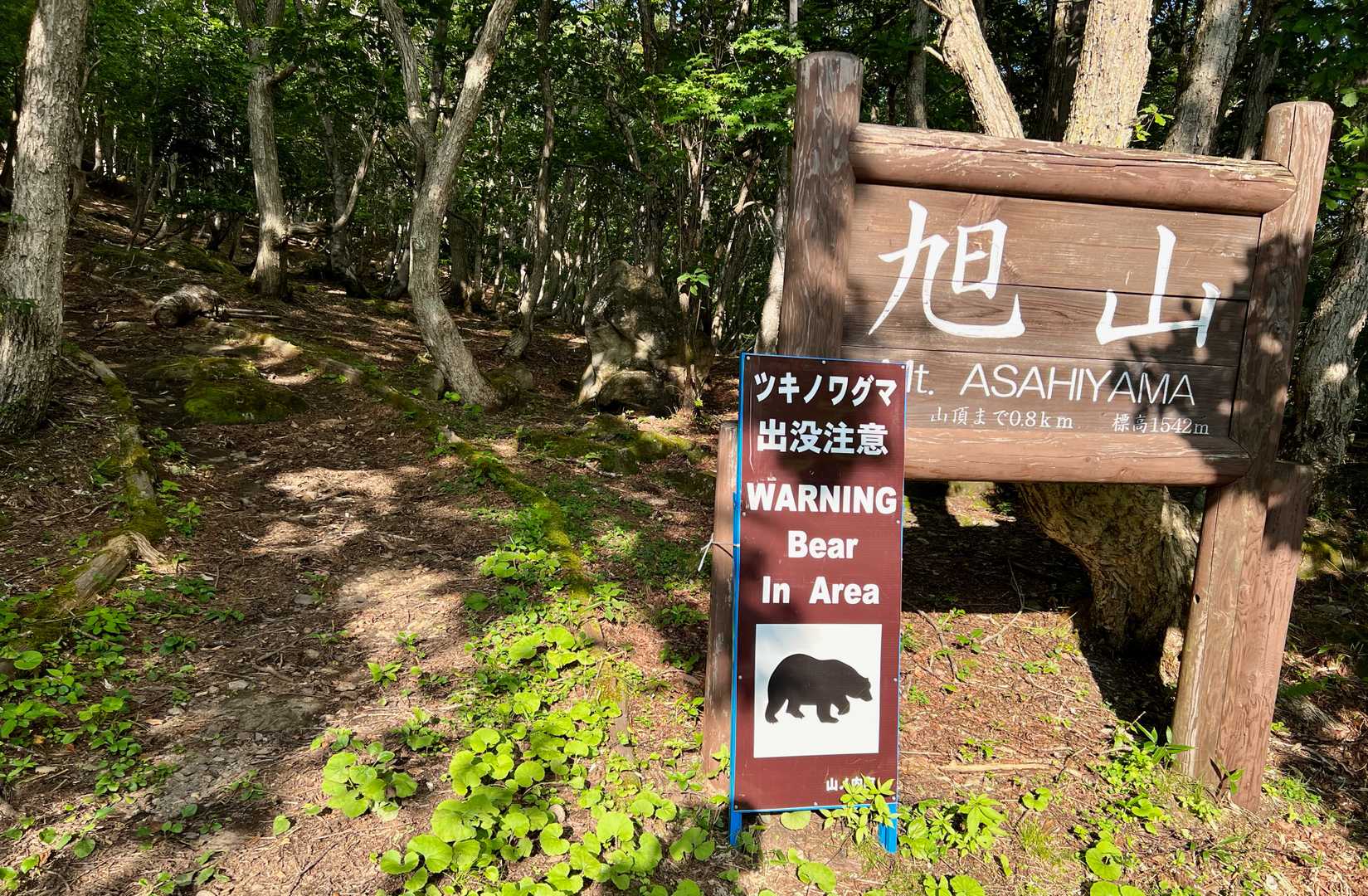 YAMAPを見ていたら国道292号沿いの一沼、琵琶池そばに旭山を発見。サクッと登れそうなので、立ち寄ることに。クマさん注意とのことで、一瞬、旭山動物園を想像...（笑）。