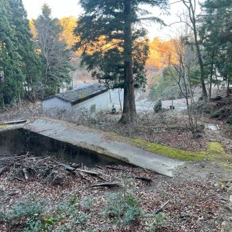 下りてきた。結局、目当ての岩は見つからなかった😂