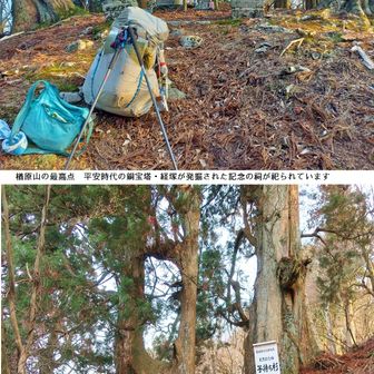 楢原山（ななばらさん）
１，０４１ｍ

三角点は無いので１７時４０分経塚発掘跡の祠前で写真を撮ります

昔の社殿は無く、奈良原神社本社の石碑が立っています

注連縄が飾られた粗末な建物の前にはピカピカの大理石休憩椅子と机が置かれています

二代目子持ち杉がここのウリです

ゆっくり休憩後に水ヶ峠へと向かいます
