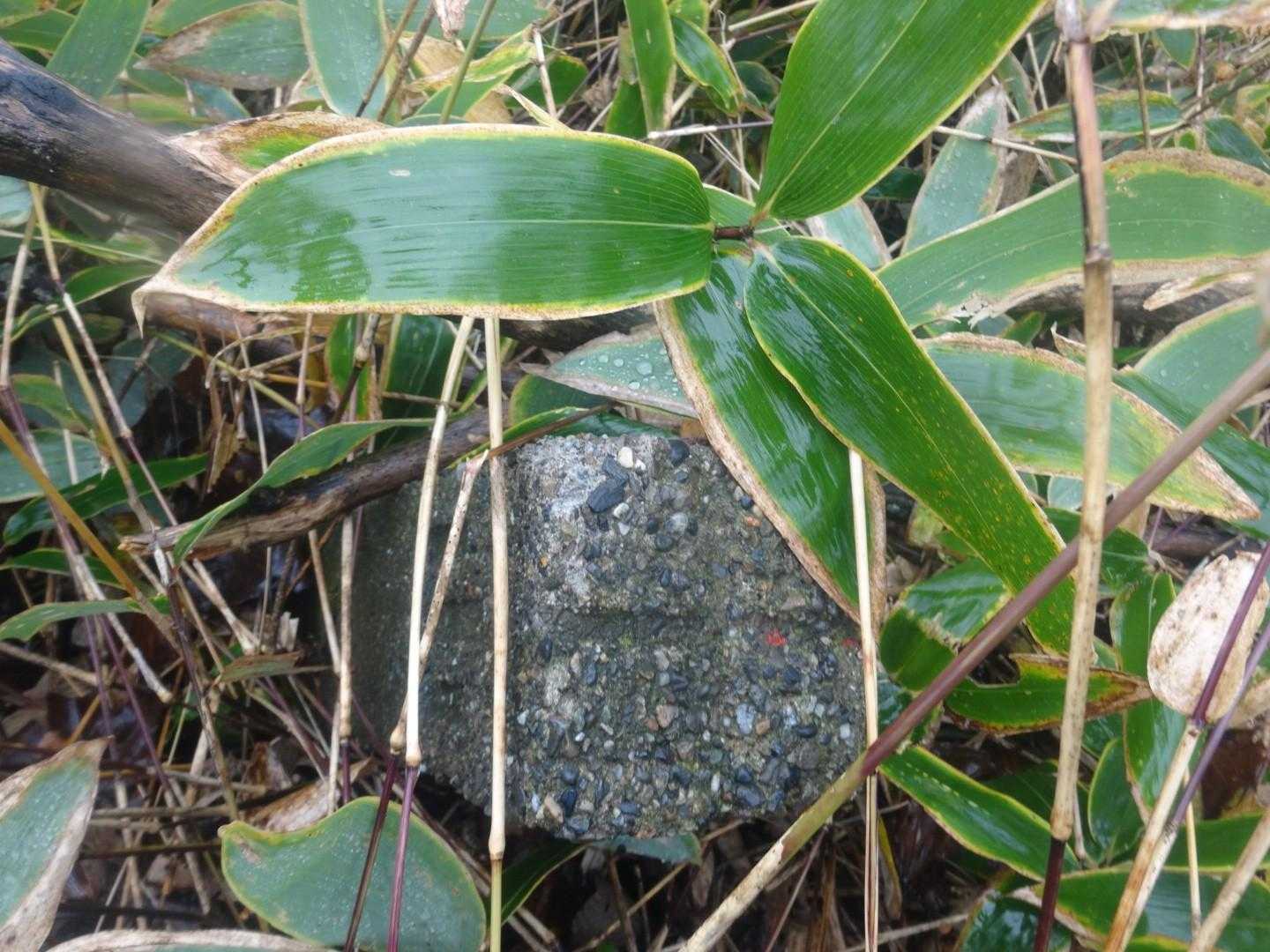三角点▲