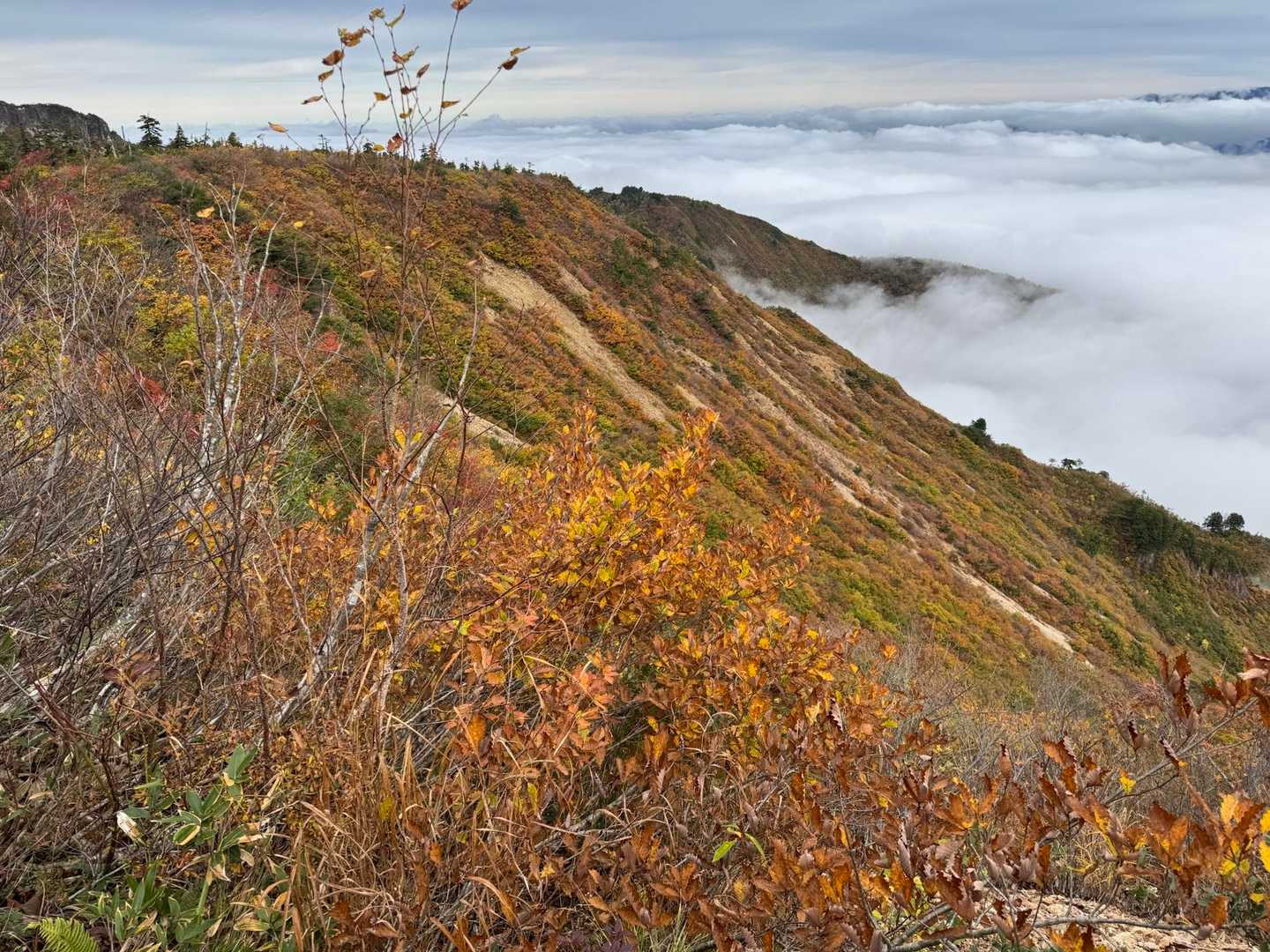 三方岩岳-馬狩荘司山-野谷荘司山 往復コースの写真