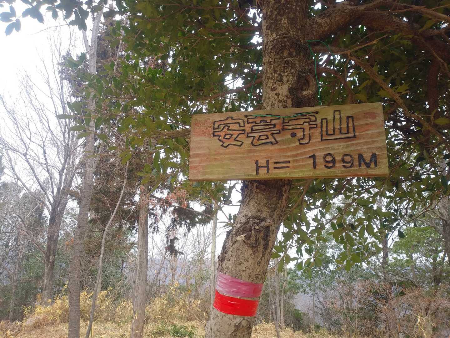 安芸守山登頂です🙌
予想以上のアップダウンに荒れた登山道💦
そして…遠かったー😫