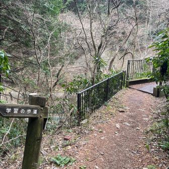 国道20号へ出た