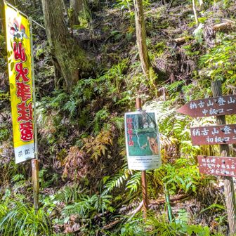 すぐに登山口です🙂
中級コースから登ります🥾🥾🦯