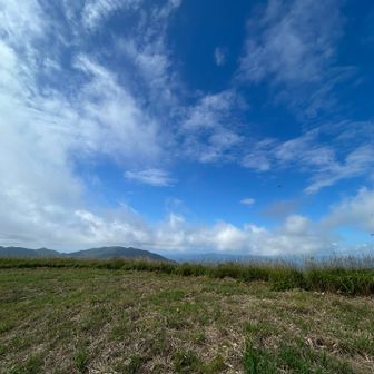 草が刈られて、一か月前に来た時より広々〜