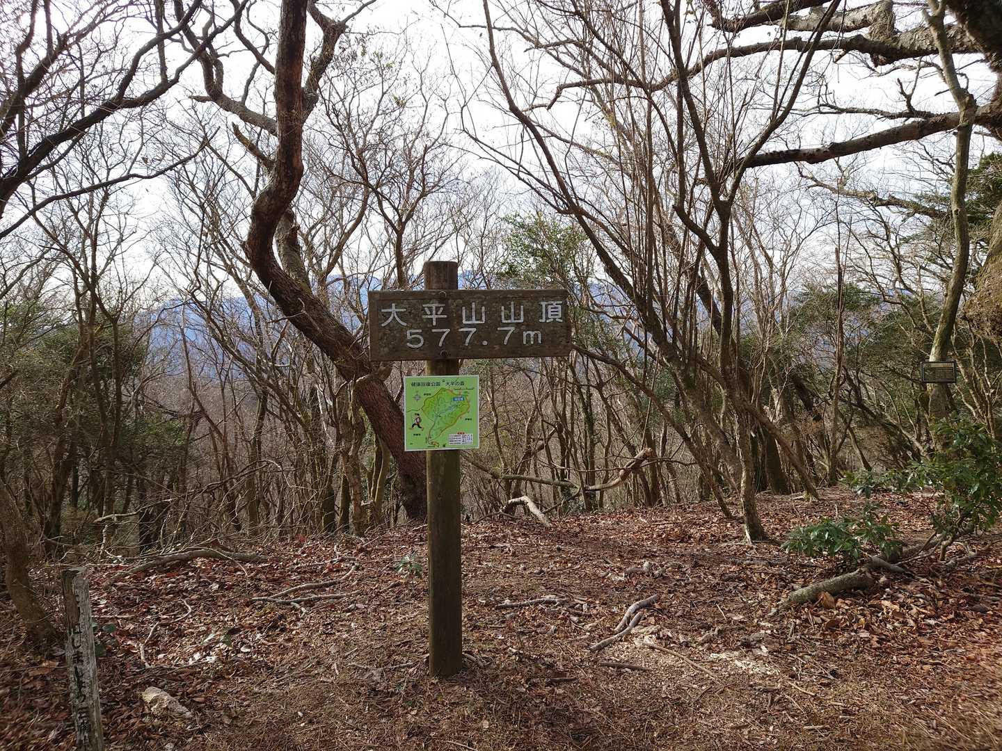 あっという間についた感じですが…
ずっと単調な登りが続く感じ。
頑張った！