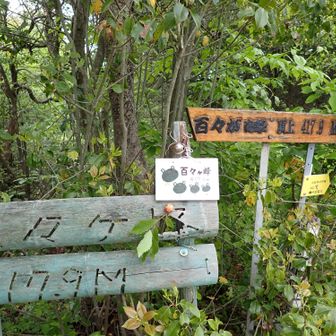 百々ヶ峰、本日２度目