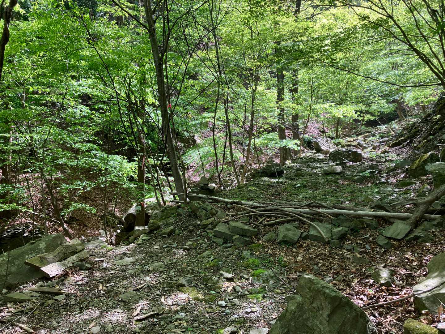 林道はまっすぐつづきますが、登山道はここからの分岐のようです。沢にくだります。