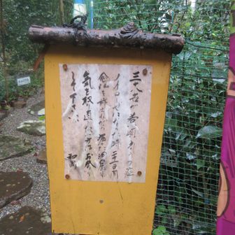 うつ症ノイローゼで二十一日間念仏を称えながら掘った洞窟らしい。一周回って躁になってそう……