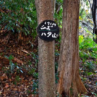 賤機山山頂標識 標高171m