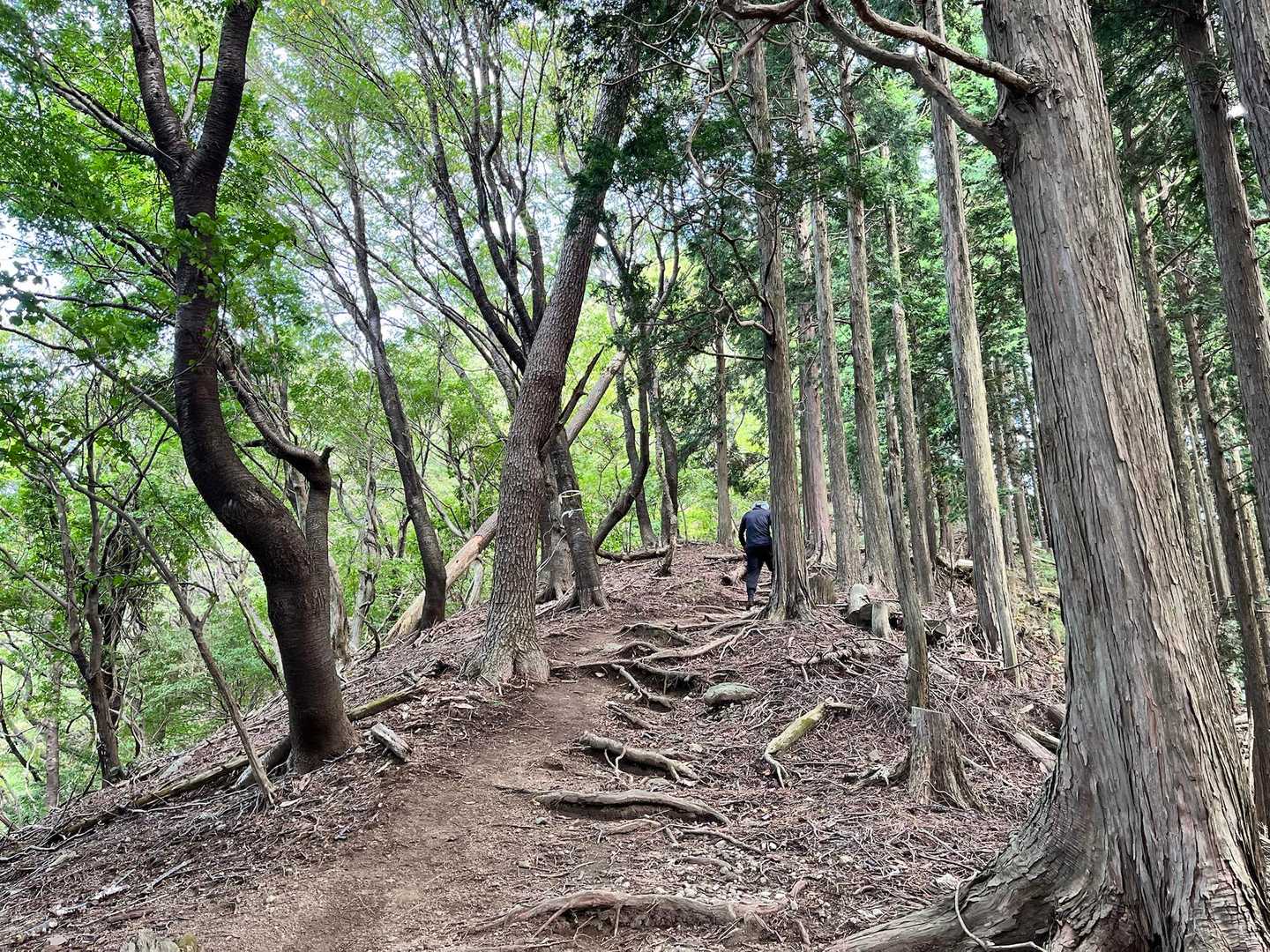 地下足袋さん、今日も忍者のごとくスタスタと🥷🤭