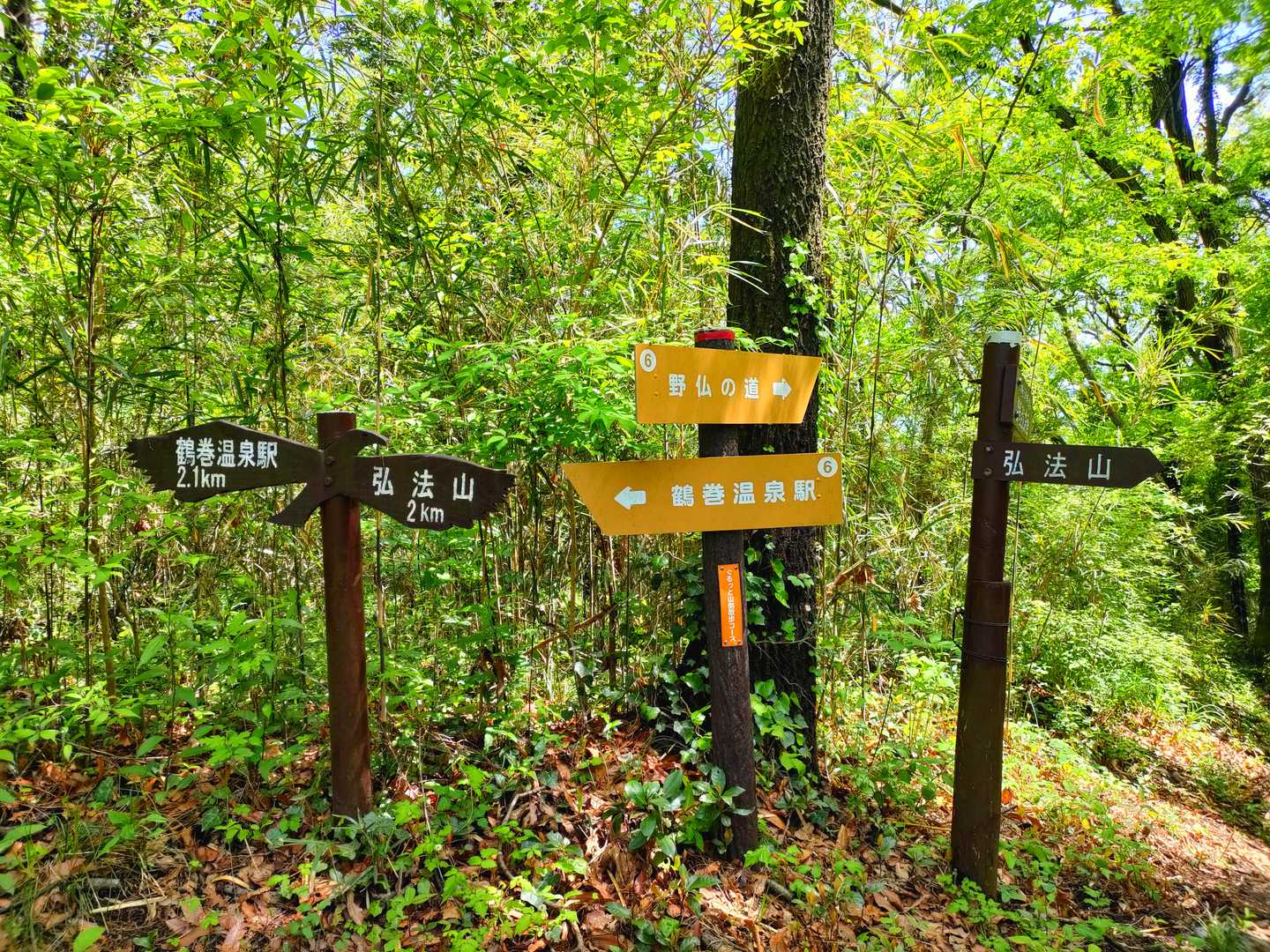 弘法山登山口-吾妻山-善波峠-弘法山 往復コースの写真