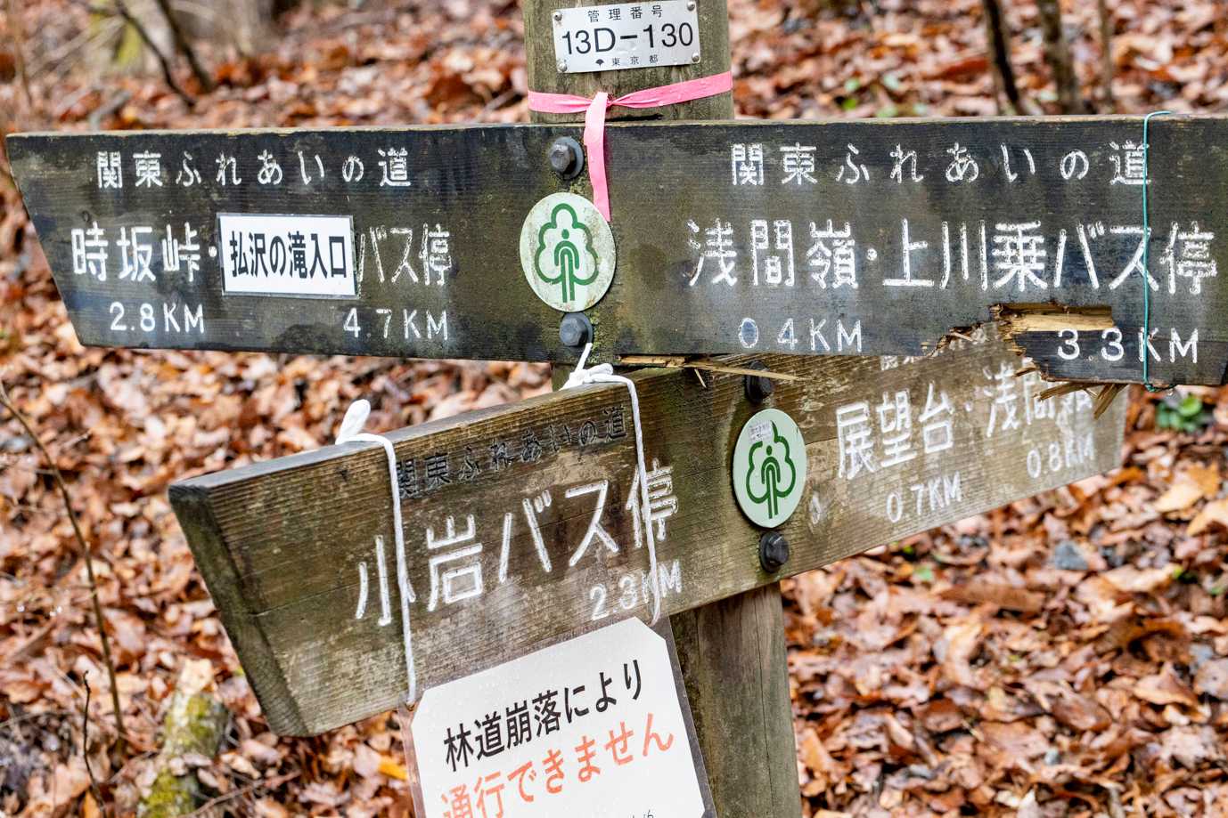 浅間嶺、どっちから周ろうかな

今回はお腹すいたので先に休憩のため反時計回り