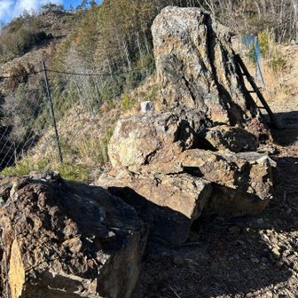 戻り名人、桜岩🌸
