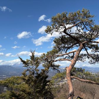 この時間が1番晴れた☀️