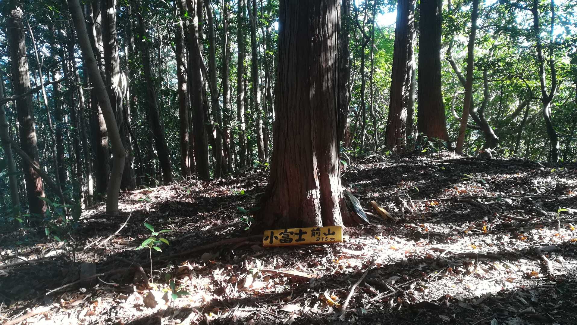 小富士(前山)315m
あれ、いつの間にか、鶴が峠を過ぎてる😲
ゆっくりペースだったのに、気付かなかった。