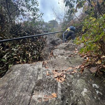 ありがたい手すり