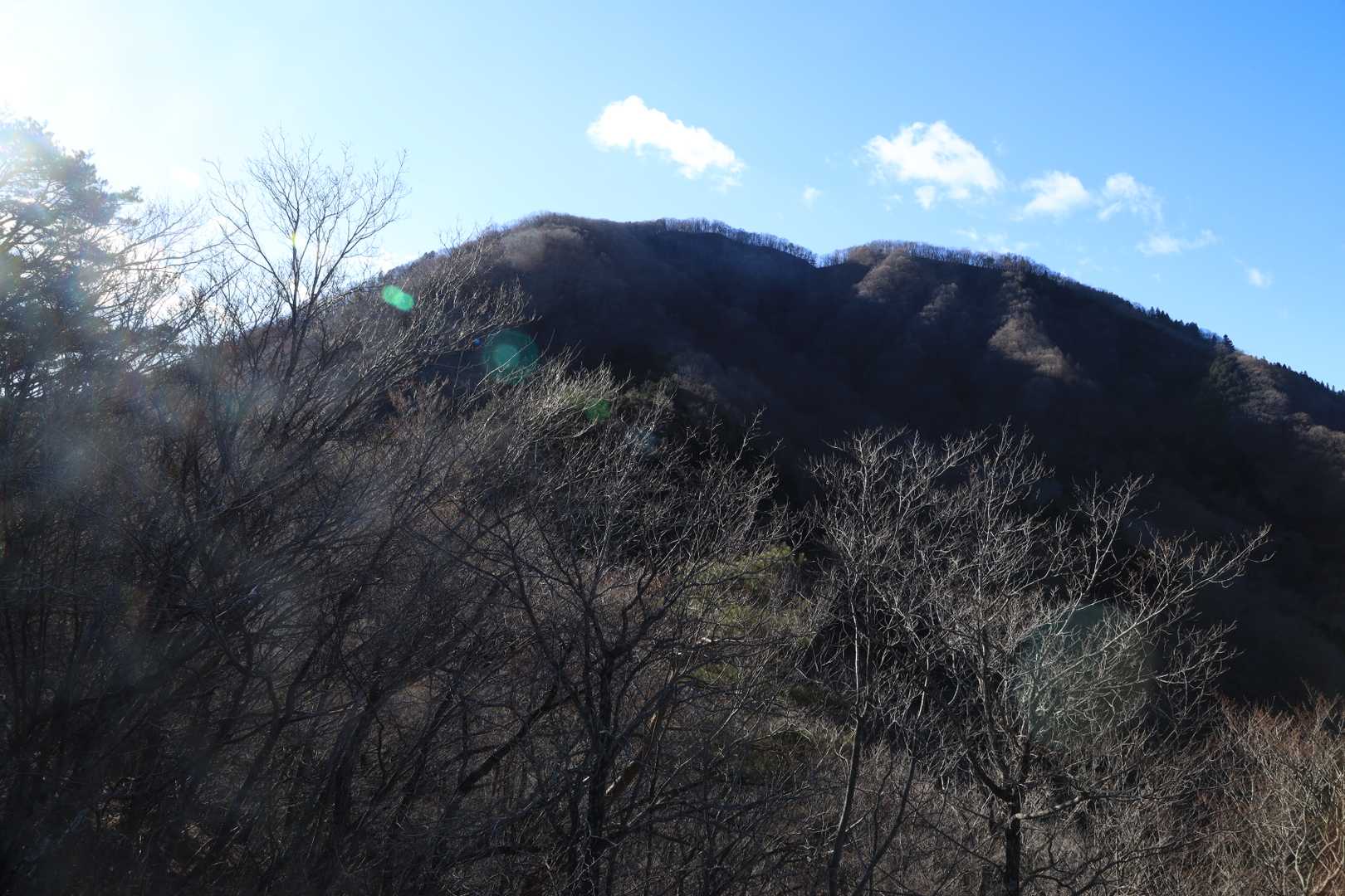 秋葉山山頂からの眺め