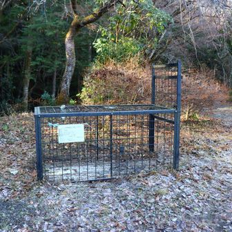 その手前に、罠！