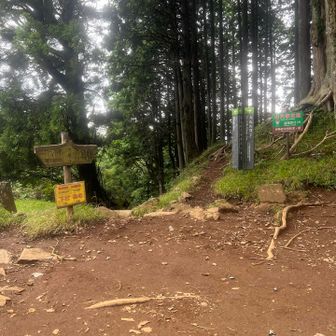 ケーブルカー側の登山道と合流！
あと少し！？